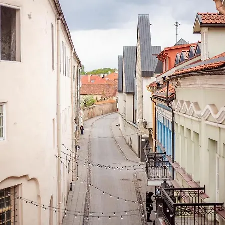Bright Saint Ignoto's * Vilnius